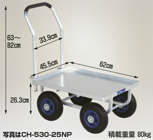 y_tf[1|Cg5{z؍ 傫Rei1pnEXJ[ m[pN^C iA~tj  CH-530-25NP nbNX HARAX