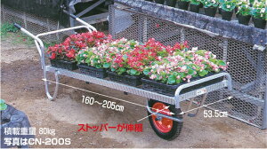 y_tf[1|Cg5{zR A~ ԗp2֎ GA[^C  CN-200SW nbNX HARAX