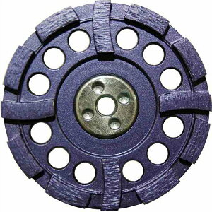 �y�X�[�p�[SALE2%OFF�N�[�|��9��11���܂Łz�y10�����z�؍�p �_�C�������h�J�b�v �\���`�b�v ������郓�W���[ WCUP-4G 100×M10 �U���z���S���t�� ���� DRY �f�B�X�N�O���C���_�[