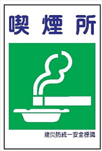 ЖhSW yiz KS11 450×300mm