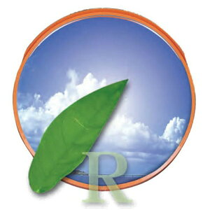 y}\2%OFFN[|111܂ŁzJ[u~[ `~[ 800 1MRA0800S A~ ʋ |J[{l[g t TCN  t[h xbg s  H ԏ ʈ