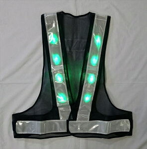 y10ZbgzΐFLED SxXg / 