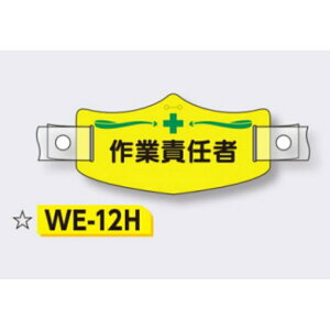 X yƐӔCҁz eX C[X wbgpoht 75×145mm WE-12H