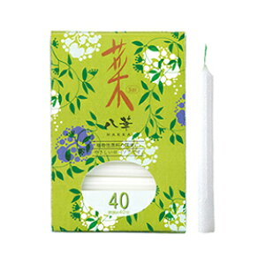 J}[\N40  ybg{ A ɂ XX Ȃ XC E\N [ ƒp