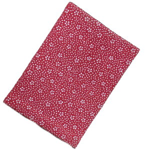 畿߂񐶒n̐F No.3318 |GXe ԐF k 萶n |GXe100 ͂񂦂    fB[X   JWAnɂ߂̕ił K