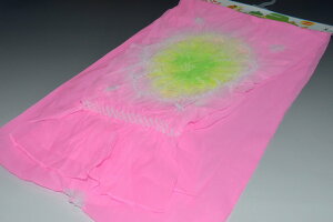 yzӂӂA킢􂨎q iւ No.7316 sNFn {JVi ̎q qlɉ 245cm Ж31cm`38cm i\iC ڂ  ߑ 䂩