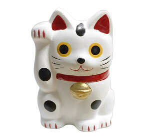 J^F̂ L E 5cmyJ^ G L u ܂˂˂zu JXj J^菵L aG j v[g Mtg No.017 No.018 No.019yLmi