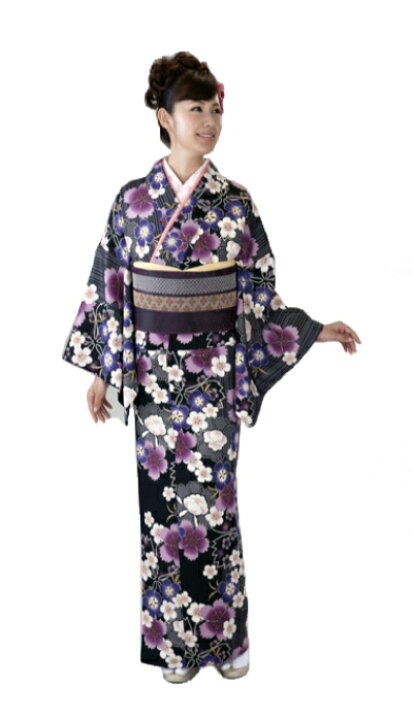 楽天市場】お仕立て上がり袷せ着物-No.010/着物単品販売（H・L 