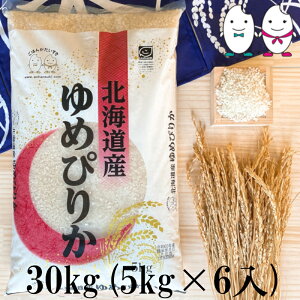  30kg(5kg×6j kCY߂҂肩 ߘa6NY