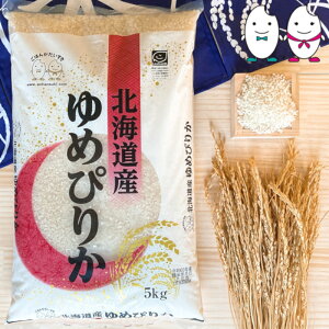 yʌz 30kg(2kg×15j kCY߂҂肩 ߘa6NY