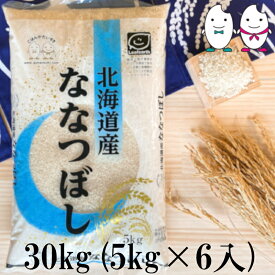 お米 30kg(5kg×6） 北海道ななつぼし 令和5年産