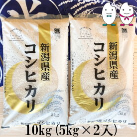 お米 10kg(5kg×2） 新潟県産コシヒカリ 令和5年産