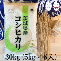 楽天市場】茨城県産 コシヒカリ 30kgの通販