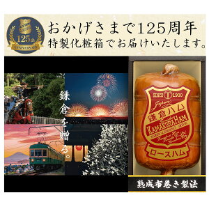 yzqnx `Enzn KDA-605S Ε Ε n 蕨 p  䒆 j Ԃ j  lߍ킹 Mtg Zbg qn