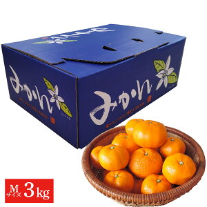 F{Y ݂ 3kgiMTCY) 蕨   ƒp ݂ v[g n F{݂ B݂ MTCY