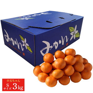 F{Y ݂ 3kgiSTCYj  蕨   ƒp ݂ v[g n F{݂ B݂ STCY 