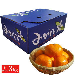 F{Y ݂ 3kgiLTCY) 蕨   ƒp ݂ v[g n F{݂ B݂ LTCY