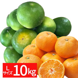 F{Yɑ~Ji10kgjyLTCYzyzyƒpz