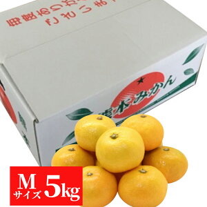 F{Y@݂5kgiMTCYjyzyʕMtgzyMtgEpzyƒpzy~Jz