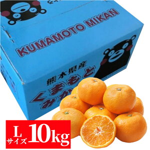 F{Y@݂10kgiLTCYjyzyʕMtgzyMtgEpzyƒpzy~Jz