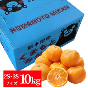 F{Y@݂10kgi2SE3STCYjyzyʕMtgzyMtgEpzyƒpzy~Jz