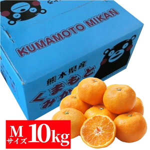 F{Y@݂10kgiMTCYjyzyʕMtgzyMtgEpzyƒpzy~Jz