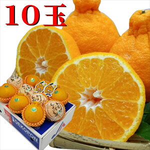 F{Y k fR|2.5kg 10ʁ@LTCYy ʕMtg Mtg p F{k F{fR| łۂ fRۂ BfR| F{łۂ sm IW ̂  Ή  