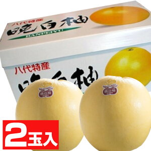 F{Y ӔM 2ʁyϔ  ʕMtg p ƒp Mtg p oyC 2 Y  ΂؂ LTCY ϔ F{ k ʕ t[c  ~J 