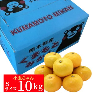 F{Y@݂10kgiSTCYjʂyzyʕMtgzyMtgEpzyƒpzy݂z