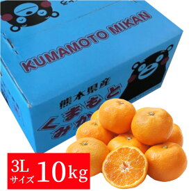 熊本産　青島みかん10kg（3Lサイズ）【送料無料】【果物ギフト】【ギフト・ご贈答用】【ご家庭用】【ミカン】