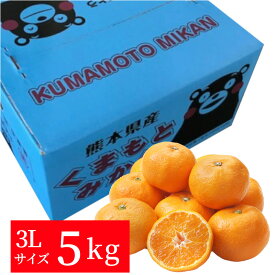 熊本産　青島みかん5kg（3Lサイズ）【送料無料】【果物ギフト】【ギフト・ご贈答用】【ご家庭用】【ミカン】