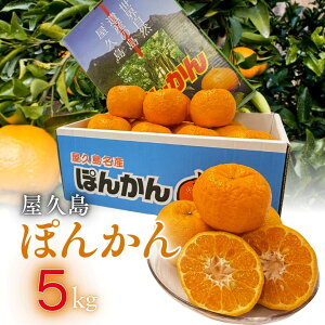 �������Y ���v���@�ۂ񂩂�@5kg �G�i�@2L����L�T�C�Y�@ �������Y�ۂ񂩂� ���v���Y ���k �t���[�c �~�M�t�g �Ö� �{ ���Y �ʕ� �����p �Y�n���� �V�N ������ ����L�� �W���[�V�[ ������