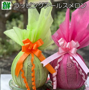 bsOA[X1 ̓Ε Mtg p ʕMtg j XẌi 蕨  ߂ ʕ t[c t[cMtg ʕMtg }XN 