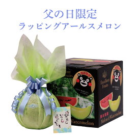 アールスメロン1玉送料無料 父の日限定 【送料無料 ご贈答用 果物ギフト お祝い おススメの一品 贈り物 メロン 果物 フルーツ フルーツギフト 果物ギフト メロンギフト 包装 くだもの 贈答 プレゼント ラッピング】