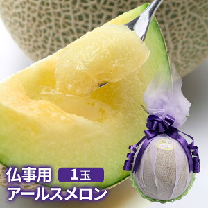 yzpbsOA[X1 p p ʕMtg ƒp A[X ߂ ʕ  ފ ~ {