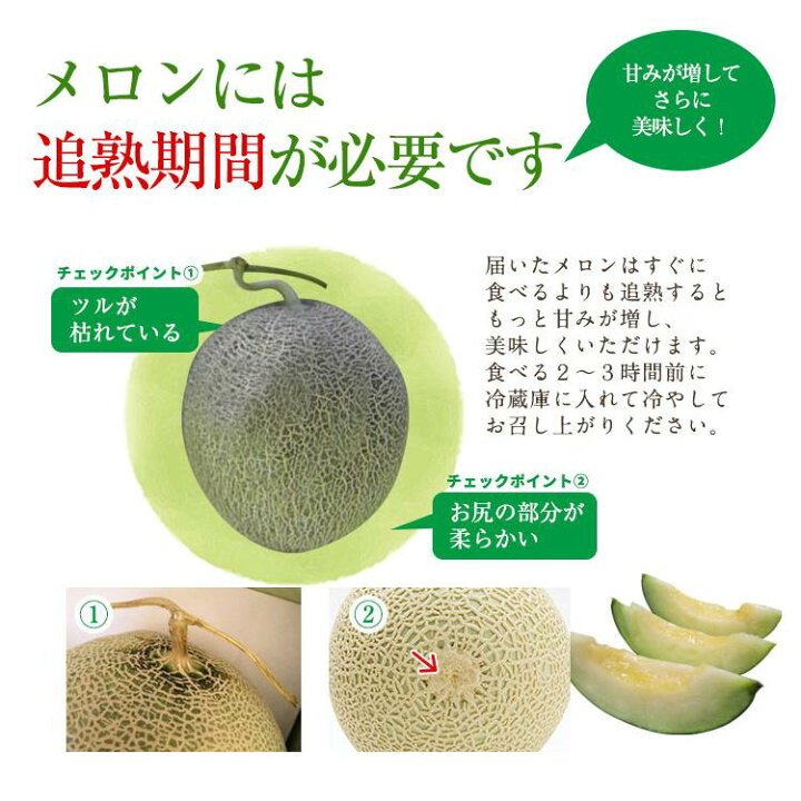楽天市場】熊本特産 肥後グリーンメロン1玉 一度食べたら忘れられない 