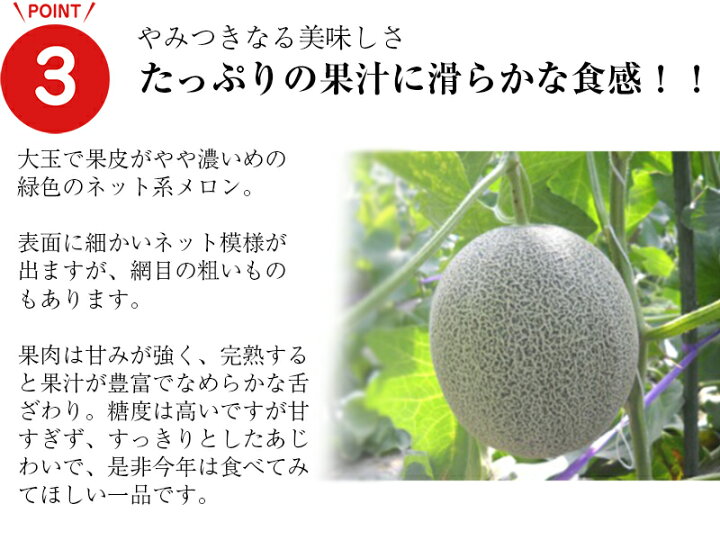 楽天市場】熊本特産 肥後グリーンメロン1玉 一度食べたら忘れられない 