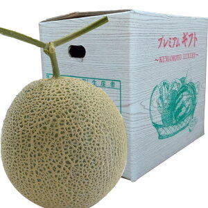 A[X1ʁy Ε Mtg p ʕMtg j XẌi 蕨 ƒp  ߂ ʕ t[c t[cMtg ʕMtg }XN 