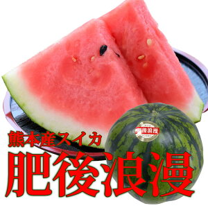 �F�{�Y�X�C�J�@���Q���X�C�J1�ʁi2L�E3L�T�C�Y�j(1�ʖ�6�`8kg)�y�F�{�z�y�X�C�J�z�y��L��z�y���������z�y���ƒ�p�z