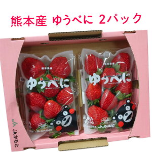 F{Y 䂤ׂ 250g×2pbN y  F{ t[c  ʕ p pz