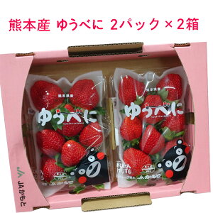 F{Y 䂤ׂ 250g×4pbN y  F{ t[c  ʕ p pz