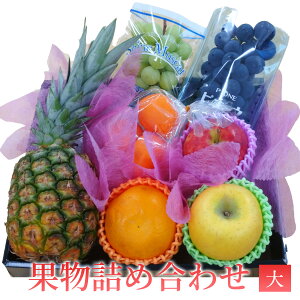 ʕlߍ킹ijyMtg ip j ̓ ̓  Ε a j z