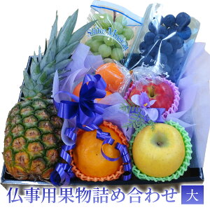 pʕlߍ킹ijy ފ ~ { ʕ lߍ킹z