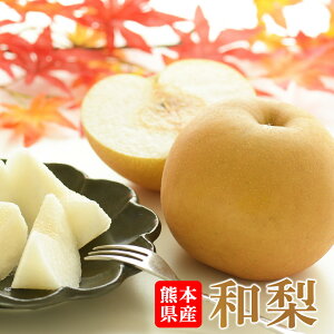 F{Y  400`500g×5KLHVV Mtg 蕨  ăMtg   j hV̓ a