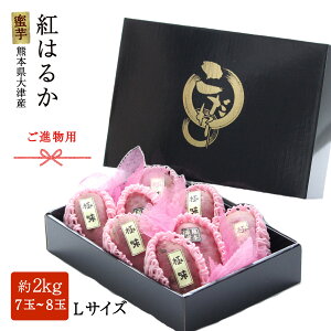 �F�{�Y �g�͂邩�ی` �i���p L�T�C�Y�y���� �������� ���ƒ�p �����n���܂��� �˂��Ƃ�n �䑡���p �M�t�g ���蕨 ������ �ׂɂ͂邩 ���܂��� ���炢�� �F�{ ��Â�����p �X�C�[