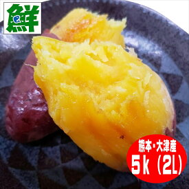 熊本産紅はるか丸形2Lサイズ5k【蜜芋 送料無料 ご家庭用 紅蜜芋 大き目 ねっとり系 御贈答用 ギフト 贈り物 お取り寄せ べにはるか さつまいも からいも かんしょ 熊本 大津 ご自宅用 スイートポテト いも 甘い 焼き芋 産地 5k 5kg　お買い得 人気 好評 リピート】