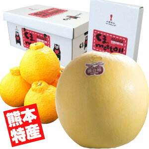 F{Ylߍʕ2_Zbg3yӔMEfR|zyzyʕMtgzyMtgEpzy΂؂zyfRۂz