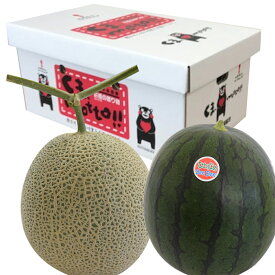 熊本産　アールスメロン・黒小玉スイカ詰め合わせ 父の日 果物 詰め合わせ ギフト ご贈答用 果物ギフト 夏ギフト お中元 メロン 小玉西瓜 果物セット プレゼント