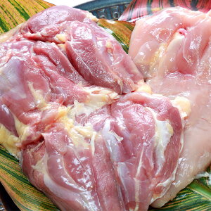 V剤 F{Y@Zbg 750gȏ El@e1y 悹 蕨 Mtg V n{ ƒp  Ε 剤 n{ {ő   F{ ő̒n{ F{
