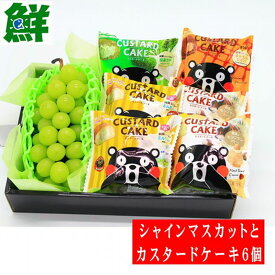 楽天市場 シャイン マスカット ケーキの通販